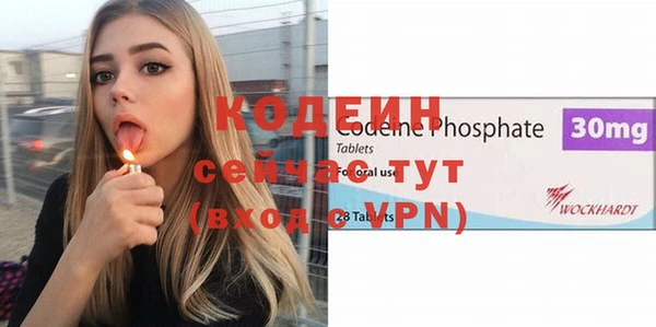 гашик Арсеньев