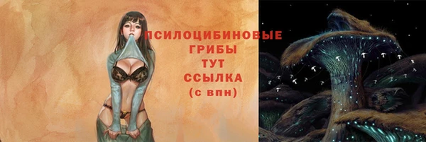дурь Армянск