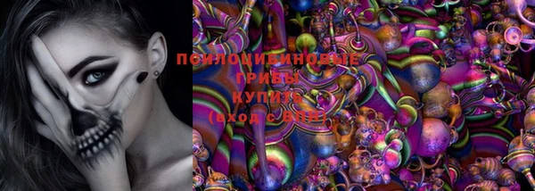 мяу мяу мука Аркадак