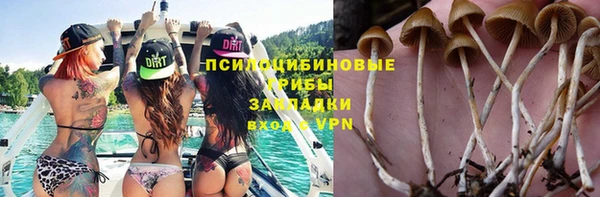 мяу мяу мука Аркадак
