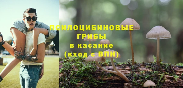 мяу мяу мука Аркадак