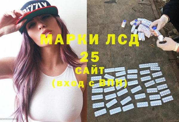 гашик Арсеньев