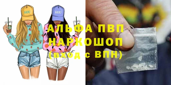 гашик Арсеньев