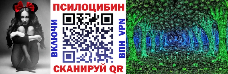 Галлюциногенные грибы Psilocybine cubensis  Купить где  Южа 